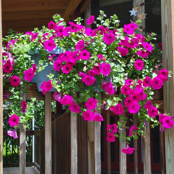 Meet your Posher, Kristin - Picture 2 of 4